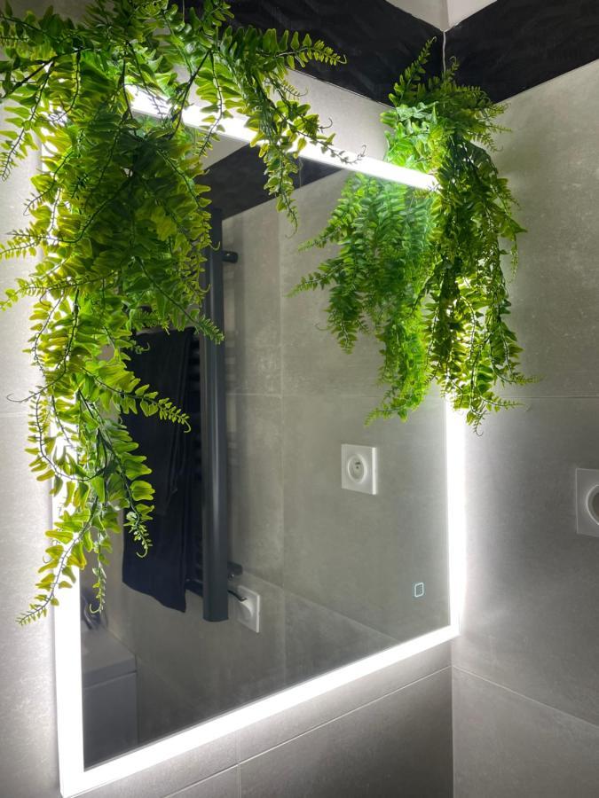 La Chill House Apartment Nogent-sur-Oise Ngoại thất bức ảnh