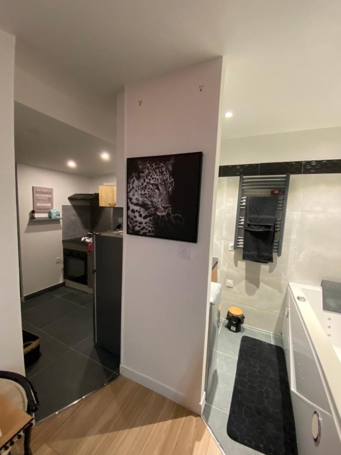 La Chill House Apartment Nogent-sur-Oise Ngoại thất bức ảnh